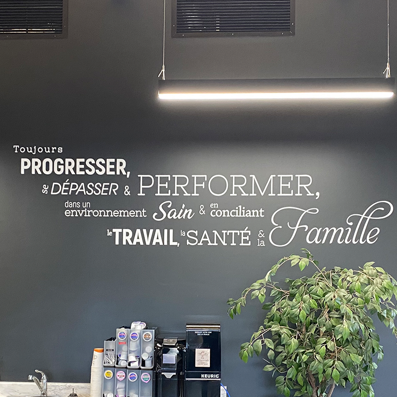 Appliqués muraux et murales